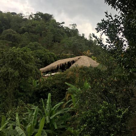 Hotel Green Ecologico La Vega  Luaran gambar