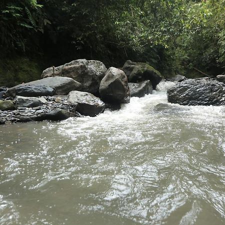Hotel Green Ecologico La Vega  Luaran gambar