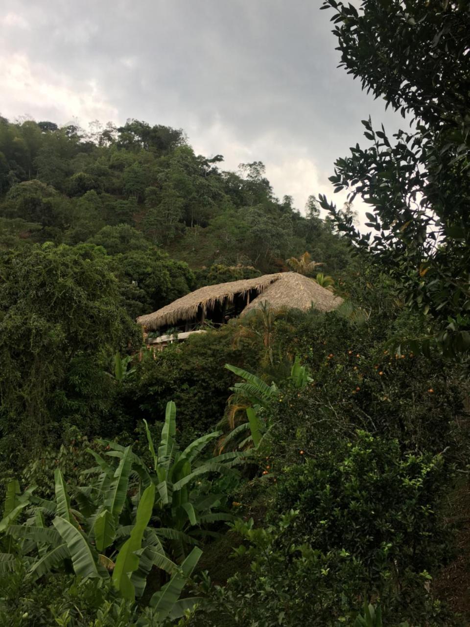 Hotel Green Ecologico La Vega  Luaran gambar