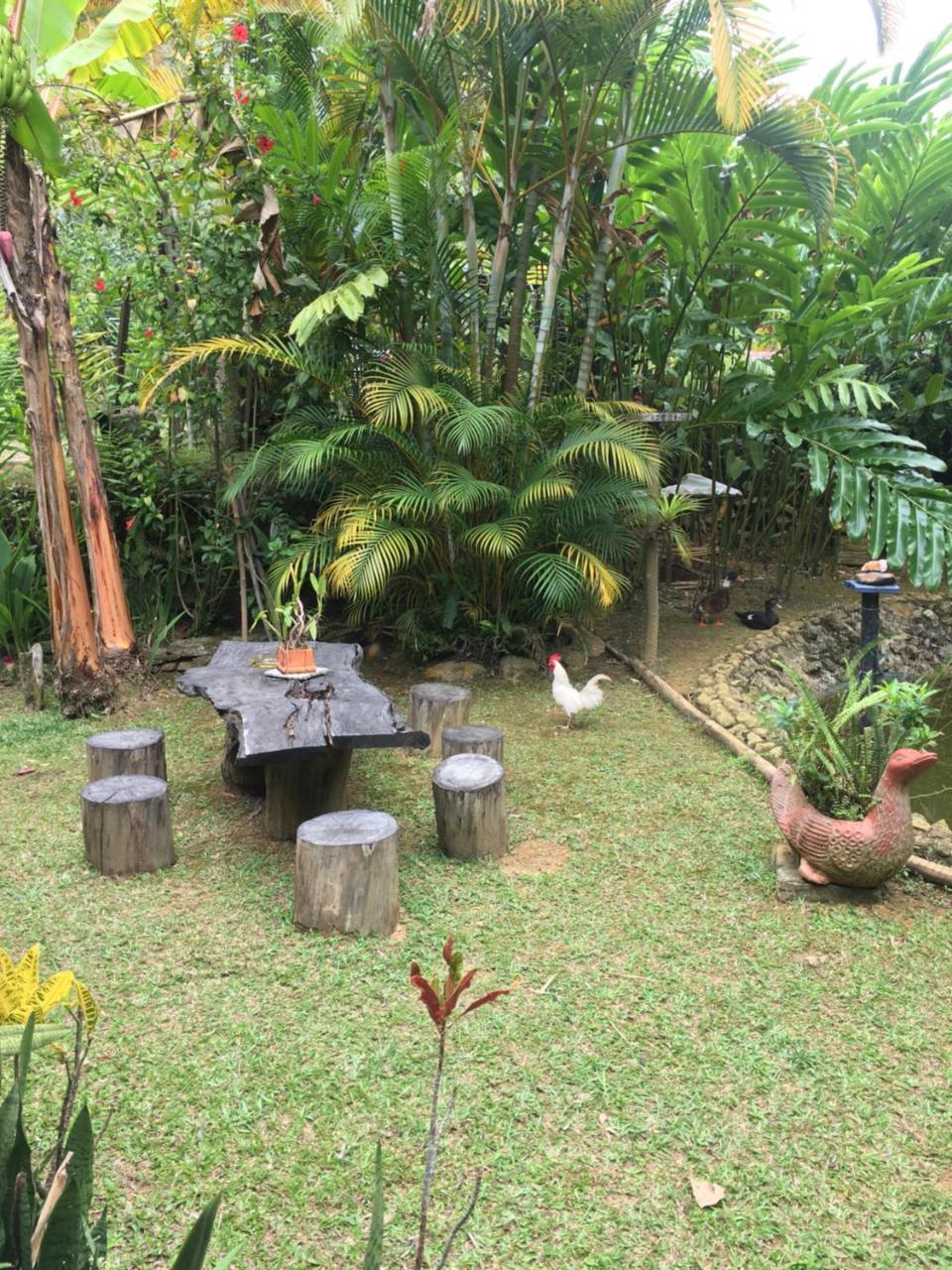 Hotel Green Ecologico La Vega  Luaran gambar