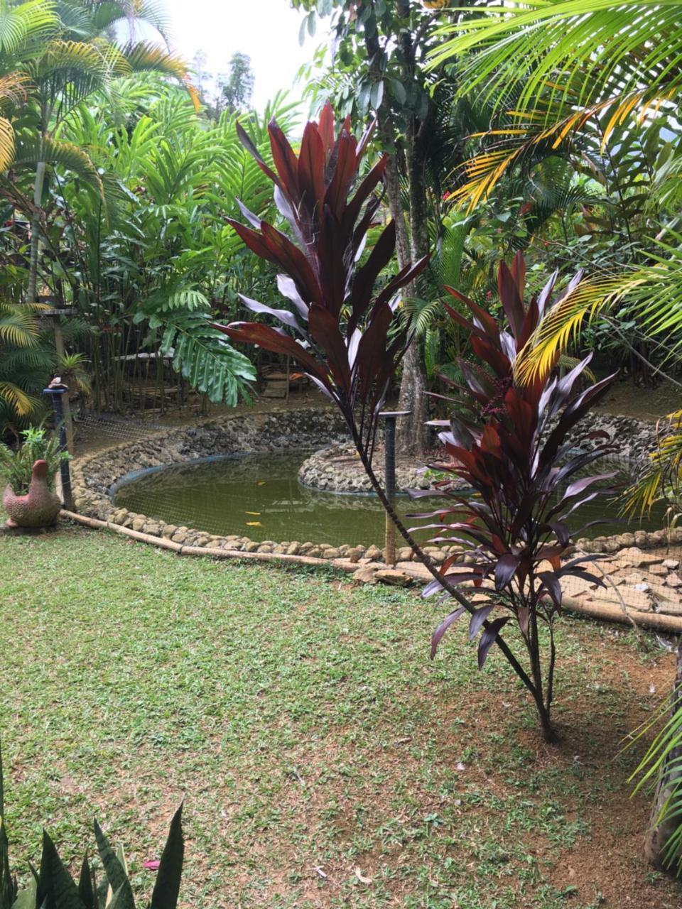 Hotel Green Ecologico La Vega  Luaran gambar