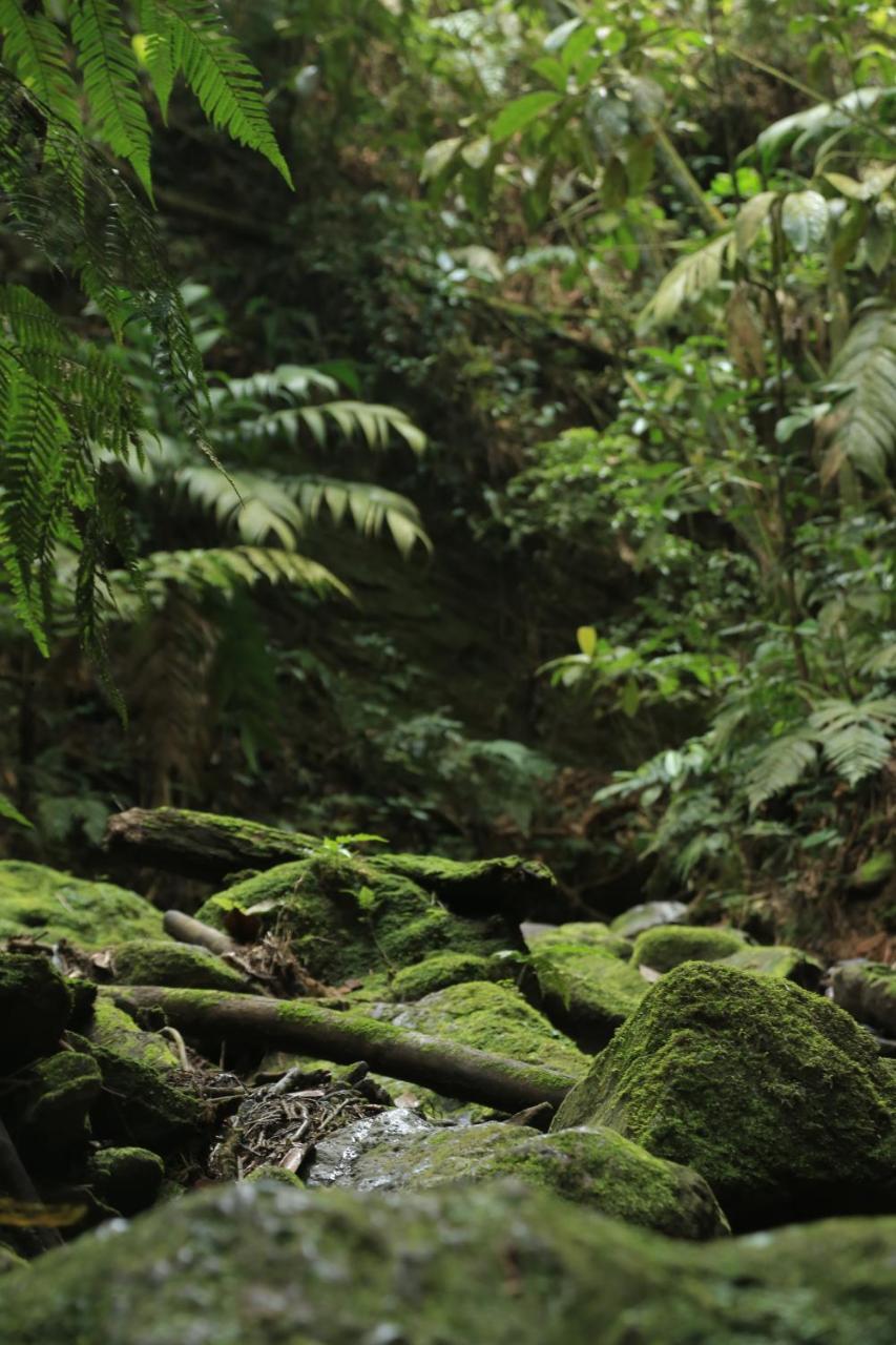 Hotel Green Ecologico La Vega  Luaran gambar