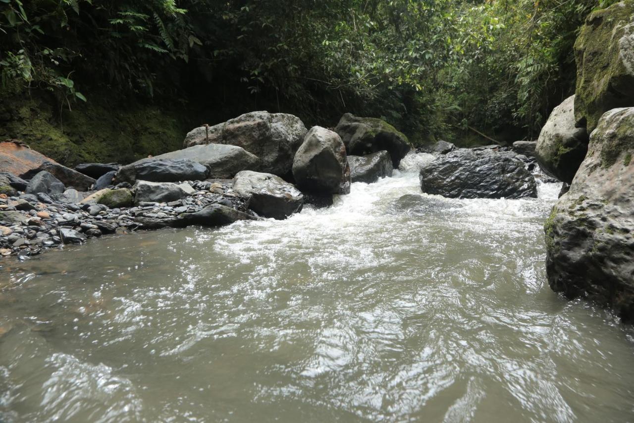Hotel Green Ecologico La Vega  Luaran gambar