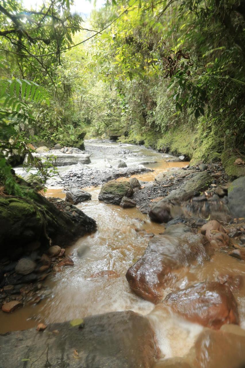 Hotel Green Ecologico La Vega  Luaran gambar